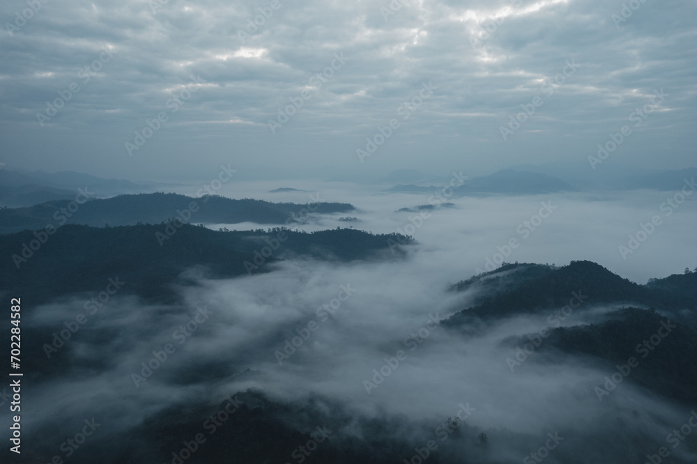 Morning fog in the forest before spring