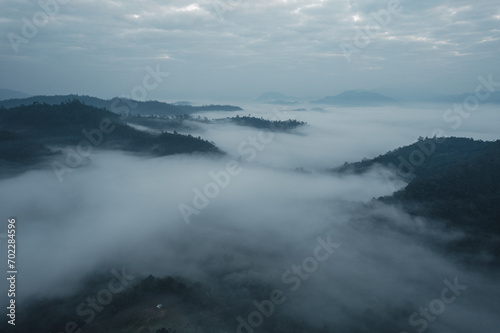 Morning fog in the forest before spring