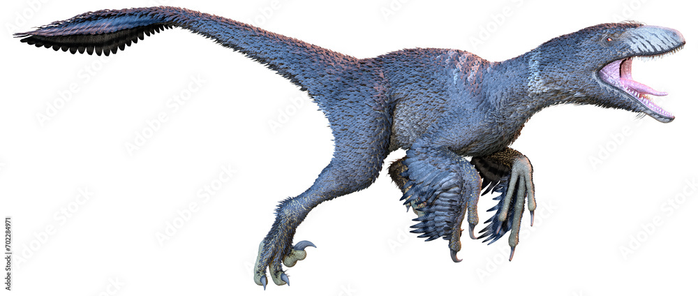 Fototapeta premium 3D Rendering Dinosur Dakotaraptor on White