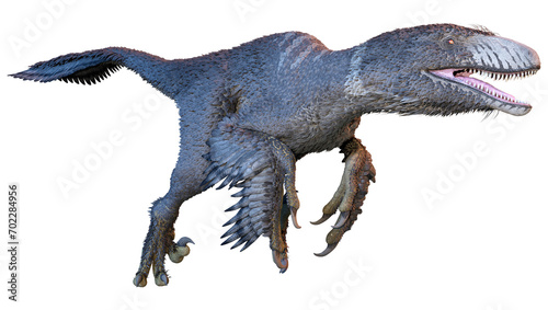 Fototapeta Naklejka Na Ścianę i Meble -  3D Rendering Dinosur Dakotaraptor on White