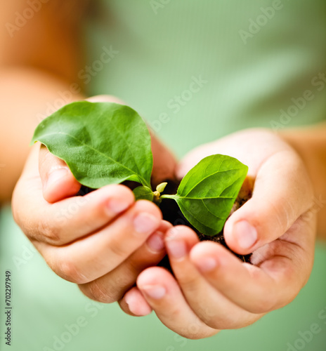 Child holding little plant