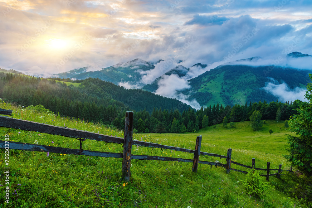 Lanscape view of yellow green meadow on the hill with old fence, rye field and mountains in the background at sunrise mountains in the background