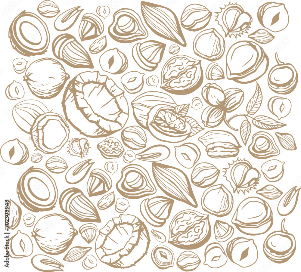 Big isolated vector set of nuts.Nuts and seeds collection.Vector hand drawn brown objects. Peanuts, cashews, walnuts, hazelnuts, cocoa, almonds, chestnut, pine nut, nutmeg, peanut, macadamia, coconut.