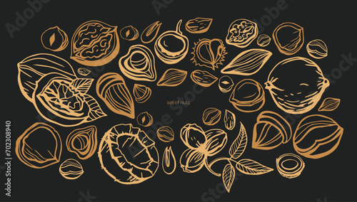 Isolated vector set of nuts on dark background. Peanuts, cashews, walnuts, hazelnuts, almonds.Nuts and seeds collection. Vector hand drawn objects. Set of vector various nuts invintage style. photo