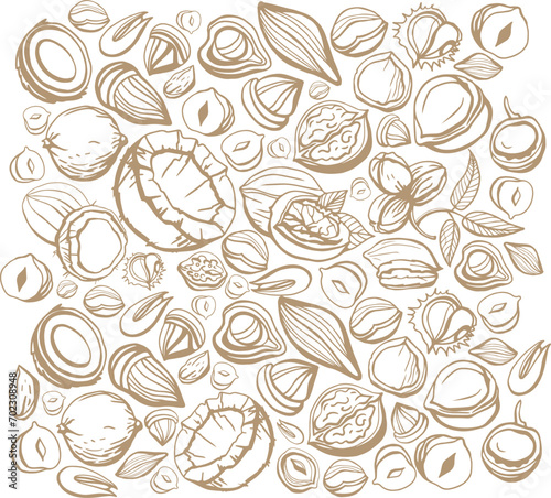 Big isolated vector set of nuts.Nuts and seeds collection.Vector hand drawn brown objects. Peanuts, cashews, walnuts, hazelnuts, cocoa, almonds, chestnut, pine nut, nutmeg, peanut, macadamia, coconut.
