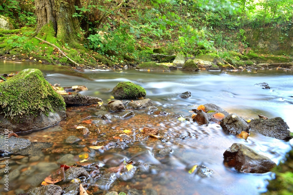 Natural scenery of a flowing stream of in the forest