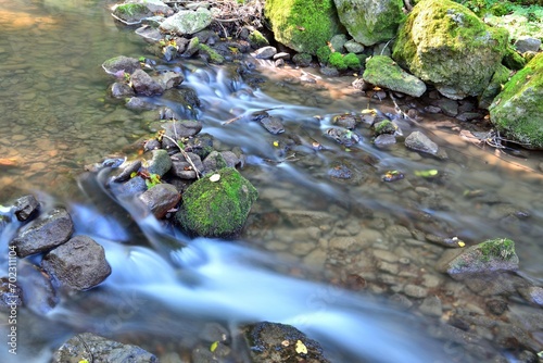 Splashes of a flowing stream in a green forest