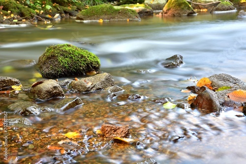 View of a flowing forest stream in autumn © Pavol Klimek