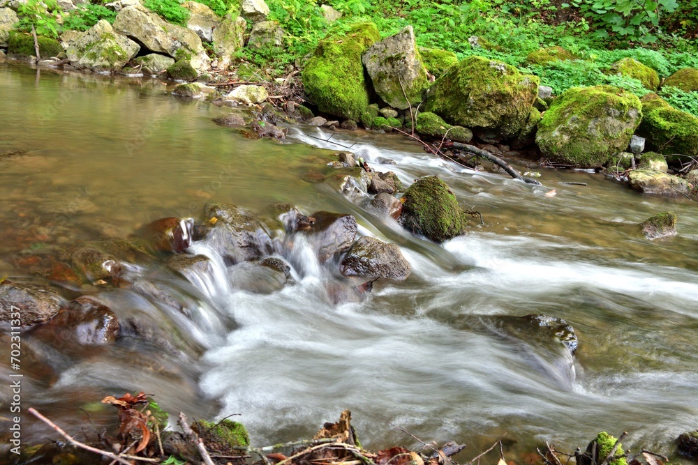 View of a flowing forest stream in autumn