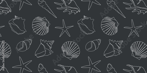 Seamless pattern with hand drawn outline seashells with chalk on a black board. Vector marine pattern for fashion design, fabric, paper, web design, textile, tiles, packaging