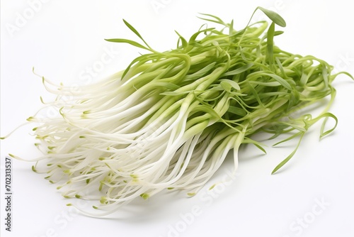 Fresh and vibrant bean sprouts on a clean white background for advertisements and packaging designs