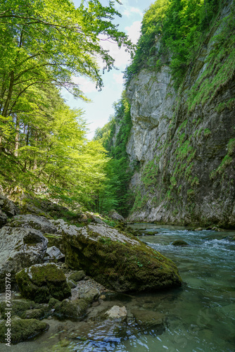 Calm and relaxing scenery: Idyllic waterfall at crystal clear water mountain stream in amazing landscape. Hundsbachfall near Eibenboden in Ötscherland in Lower Austria
 photo