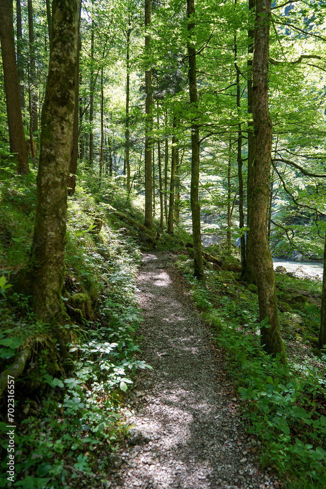 Calm and relaxing scenery: Hiking trail at idyllic crystal clear water mountain stream in amazing landscape. Hundsbachfall near Eibenboden in Ötscherland in Lower Austria Calm and relaxing scenery: Hiking trail at idyllic crystal clear water mountain stream in amazing landscape. Hundsbachfall near Eibenboden in Ötscherland in Lower Austria
