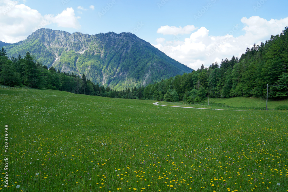 Idyllic austrian landscape: Green rolling hills and blue sky with some white clouds on a summer day. copy space for text. View to Scheiblingstein near Lunzersee in Lower Austria