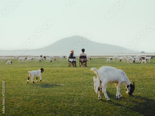 Couple sitting and looking at the lake view with goats in the green grass field