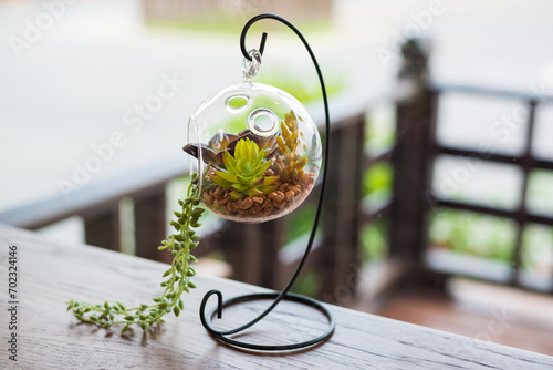 mini garden in glass photo