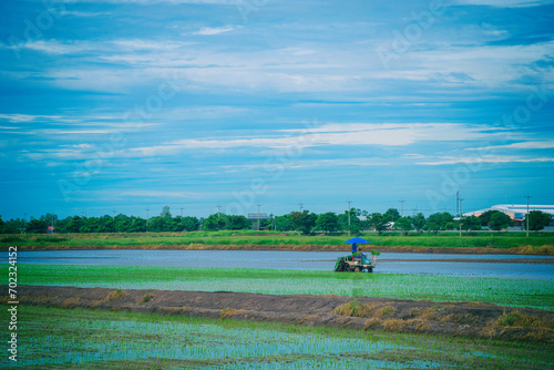 Farmer are working in the farm photo