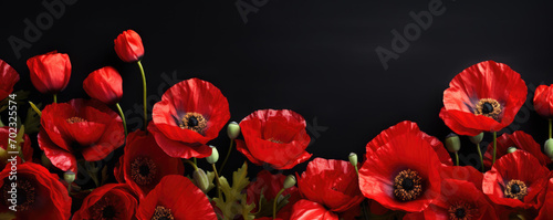 Blooming poppies flowers on black background, memorial day concept. Horizontal banner