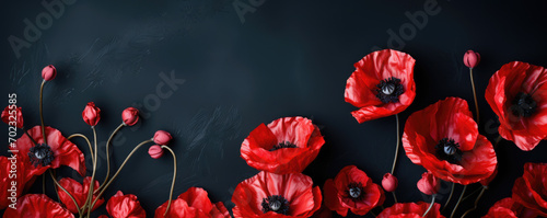 Blooming poppies flowers on black background, memorial day concept. Horizontal banner