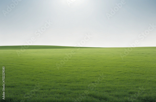 green grass field and blue sky isolated