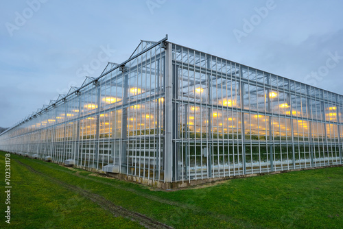 Illuminated industrial greenhouse with yellow lights growing tomato plants under a cloudy sky in winter. Concept of industrial food production