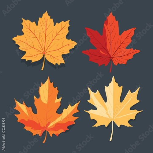 Autumn Leaves Set isolated  Vector Illustration