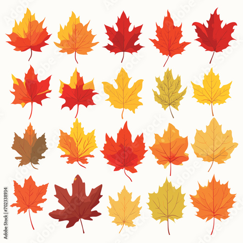 Autumn Leaves Set isolated, Vector Illustration