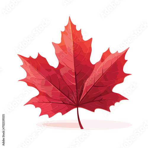 Autumn Maple red Leaf isolated, Vector Illustration