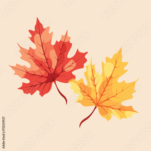 Autumn Maple Red and Yellow Leaves isolated  Vector Illustration