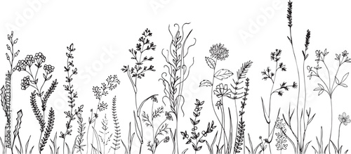 Wildflowers and grasses with various insects. Fashion sketch for various design ideas. Monochrom print.