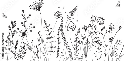 Wildflowers and grasses with various insects. Fashion sketch for various design ideas. Monochrom print. photo