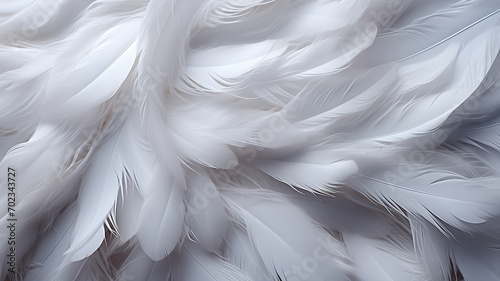White feathers texture, background