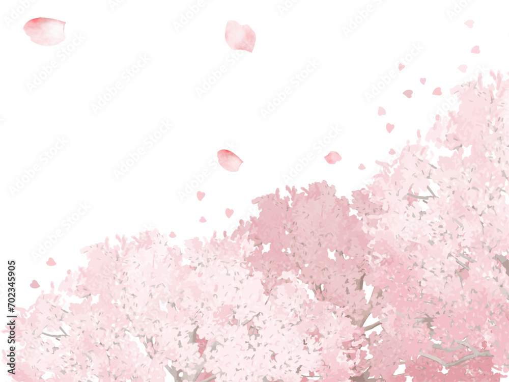 桜のフレーム（ポストカード）
