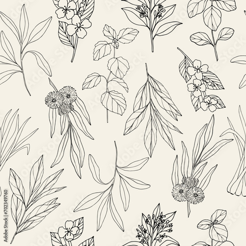 Sketch essential oil plants seamless pattern