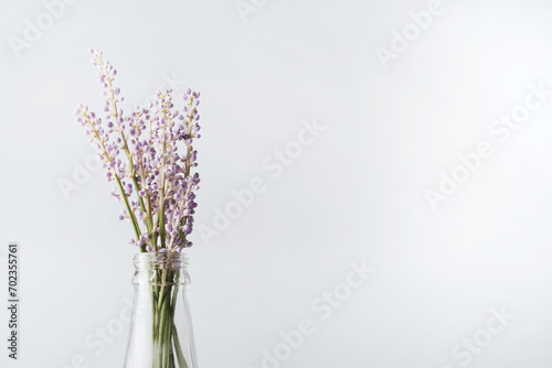 Mothers day background with purple fresh liriope monkey grass blooms in jar vase, copy space for holiday.