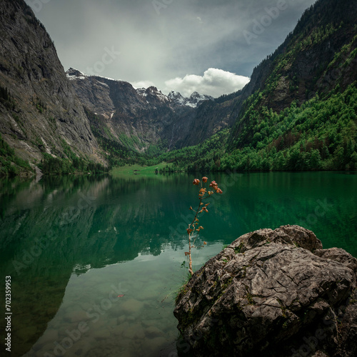 Fototapeta Naklejka Na Ścianę i Meble -  View of lake Obersee, rock in foreground, mountains in background, Berchtesgaden Bavaria.