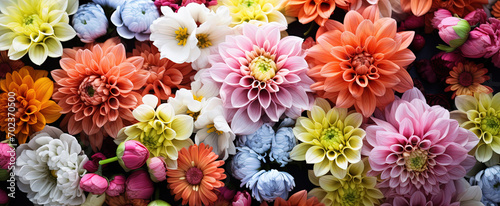 Cute Pink beautiful flowers background desktop hd 4k wallpaper © Tarek