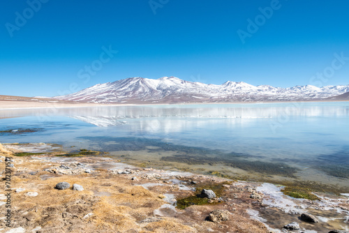 Laguna Blanca de la reserva de fauna y flora eduardo avaroa de Bolivia, cordillera de los Andes