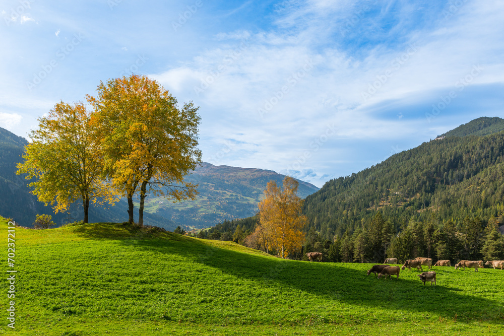 Fall in the Canton of Graubünden, Switzerland