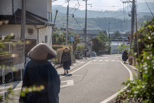 japan snapshot