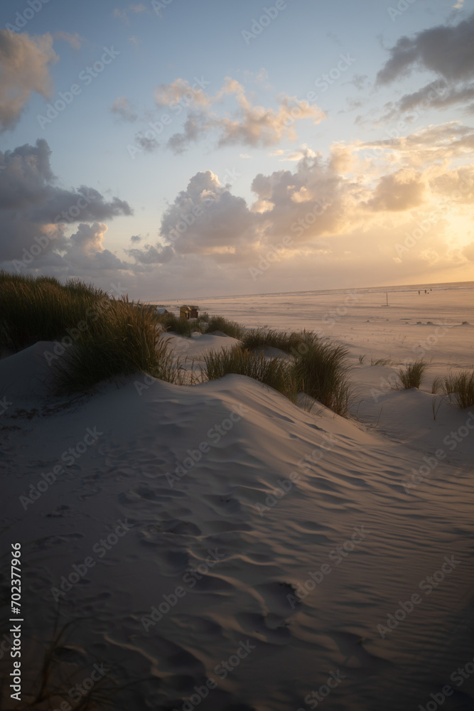 Sand Dunes North Sea Sunset