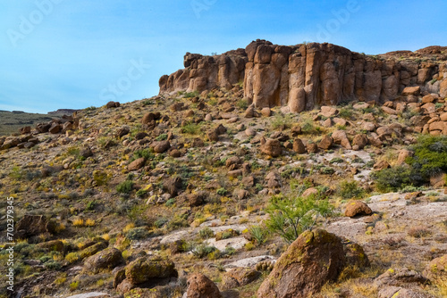 Mountain erosion formations of red mountain sandstones, Desert landscape with cacti, Arizona © Oleg Kovtun