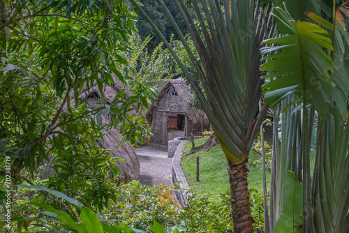 Jardins de la Savane aux esclaves aux 3 îlets, Martinique. Jardins exotique des Antilles Françaises.	