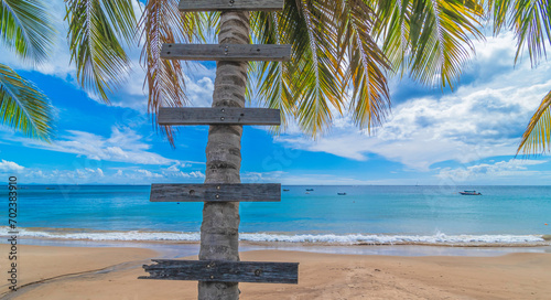 Palmier avec des panneaux indicateurs sans inscription sur une plage tropicale en Martinique, Antilles Françaises.	
