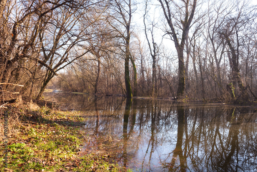 the trees on the river bank are flooded by the river the trees on the river bank are flooded by the river