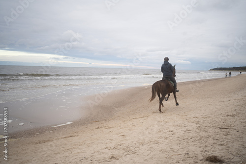 horse and rider on the beach