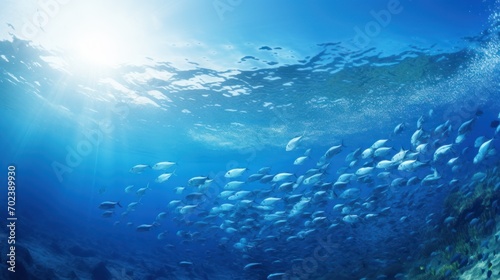 underwater marine ecosystem A school of large fish on a blue background. © venusvi