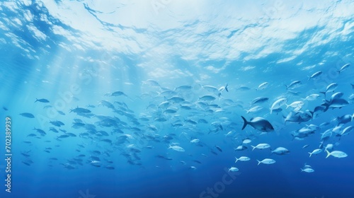underwater marine ecosystem A school of large fish on a blue background.