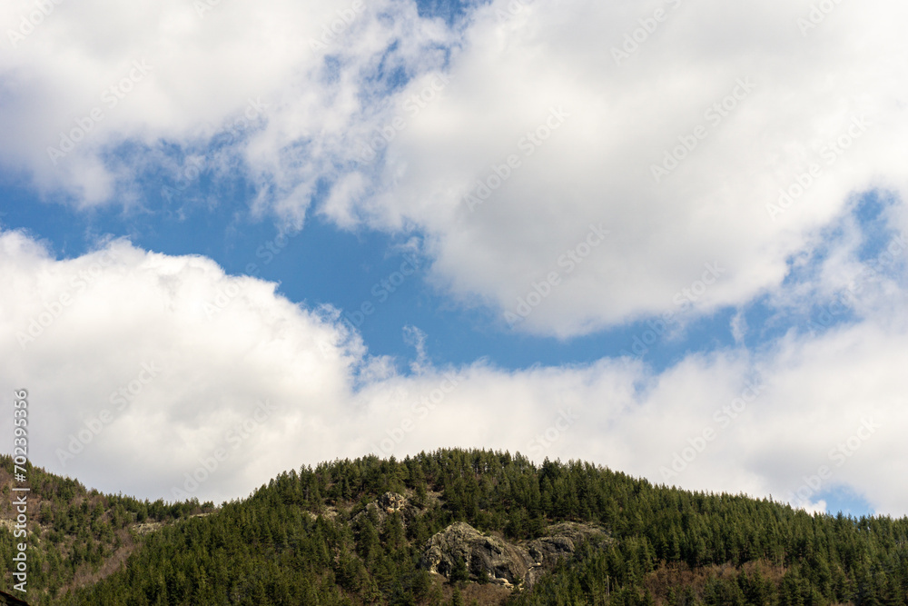 View to hill with trees and cloudy sky