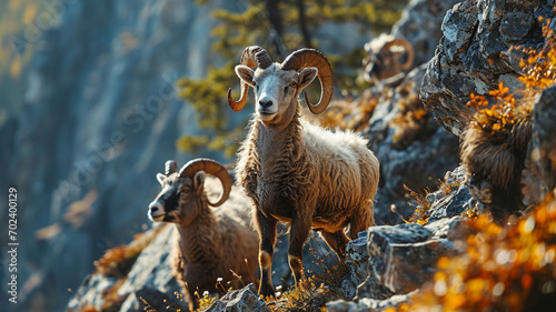 European mouflon (Ovis gmelini musimon) stands on a mountain slope, a generated photo